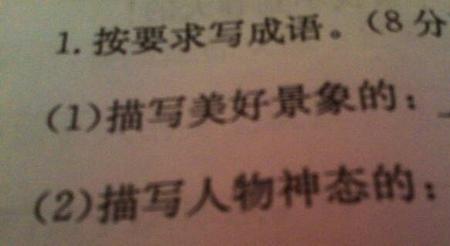 形容神态平静的成语