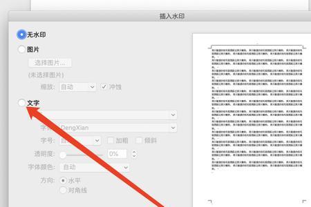 word如何查看水印的字体