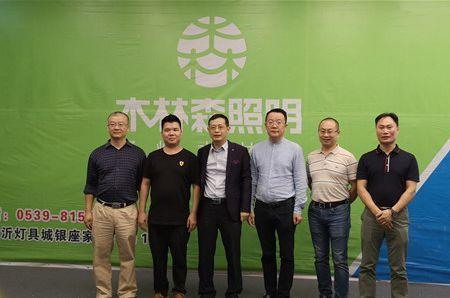 三雄极光和木林森哪个好