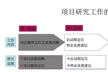 ppt属于什么项目类型
