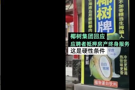 椰树集团是500强吗