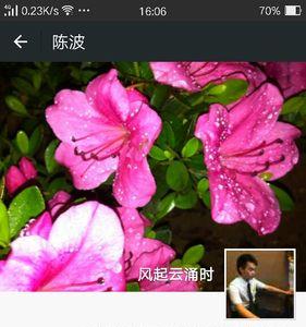 朋友圈的封面看不见了怎么回事