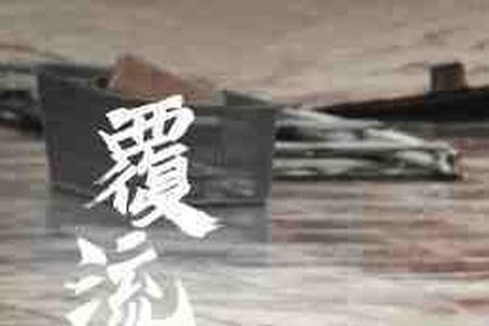 覆流年一共多少集