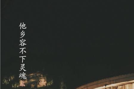 他乡安不下灵魂原文全句