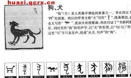 动物繁体字