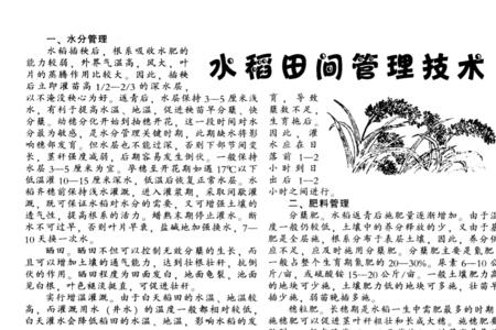 黄豆地除稗子的药伤黄豆吗