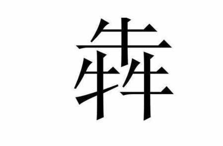 珵是生僻字么