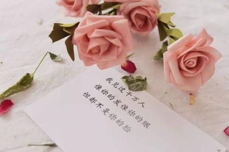 注定一生在那红尘过是什么意思