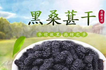 桑葚怎样晒干