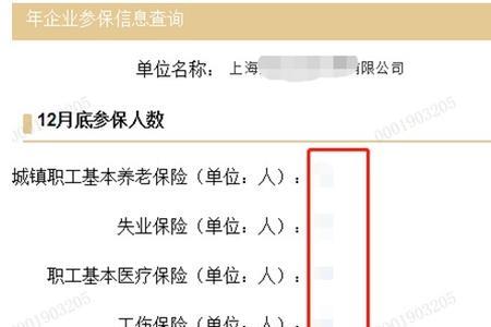无参保信息什么意思