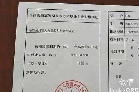怎么查询报到证编号