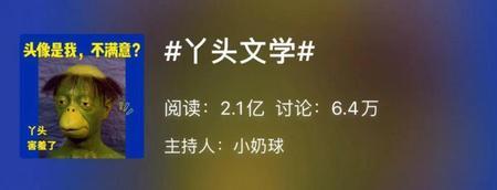 和小丫头类似的词有哪些