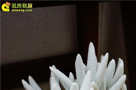 银月什么意思