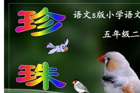珍珠鸟没有公鸟母鸟会下蛋吗