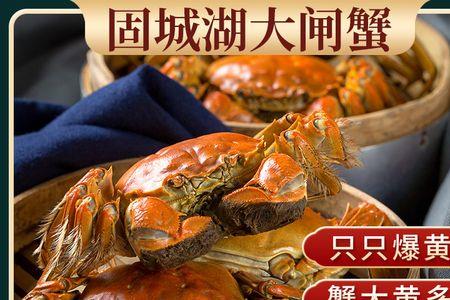 螃蟹为什么右臂大