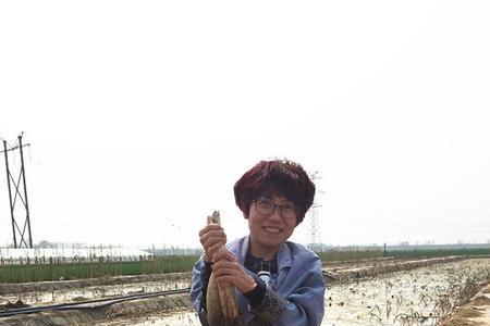 什么莲藕长最快或最大