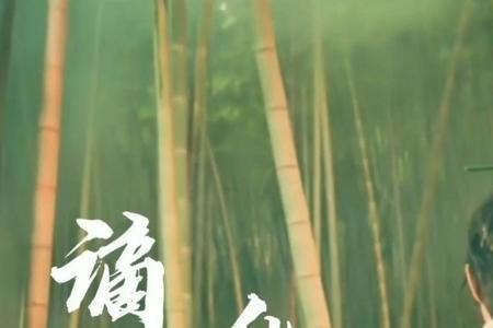 再婚劫的插曲
