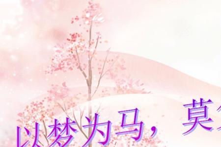 以路为马不负韶华全文