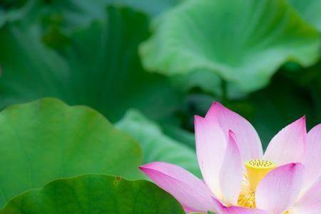 今年9月满25岁属什么