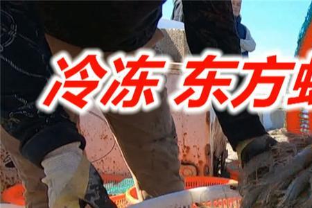 虾冻久了会长虫吗