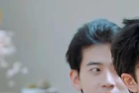 王鹤棣桃花坞出场介绍