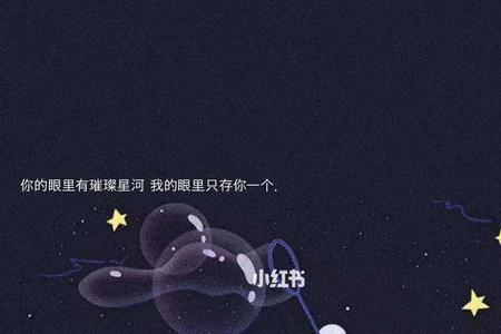 你的眼里有星河是什么意思