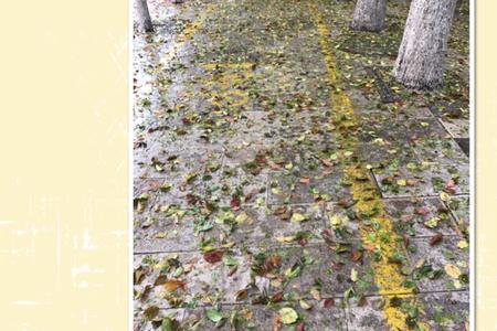 落花春雨更伤春全诗