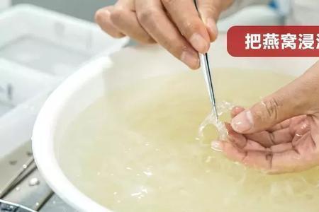 怎样洗燕窝最快最干净