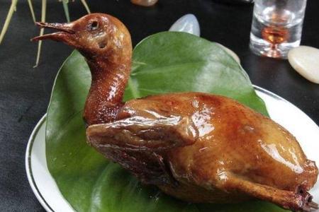 鸽子吃芒果什么意思