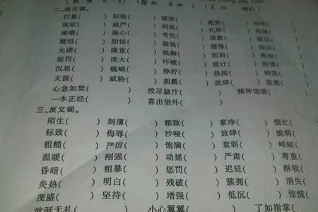 地毯的近义词和反义词是什么