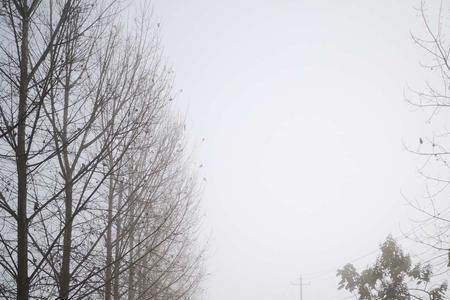 前路亦漫漫什么意思