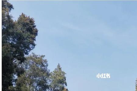 对明孝陵形容的词语