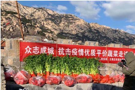 菜篮子工程由哪个部门主管