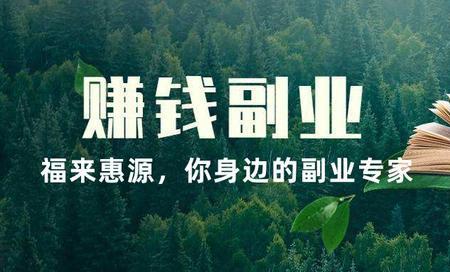 有什么普通人可以做的副业