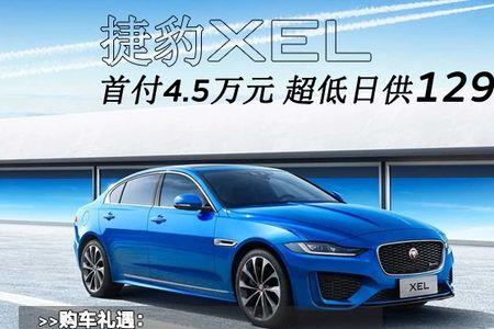 捷豹什么意思网络语