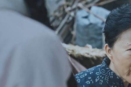正阳门下小女人蔡全无有孩子吗