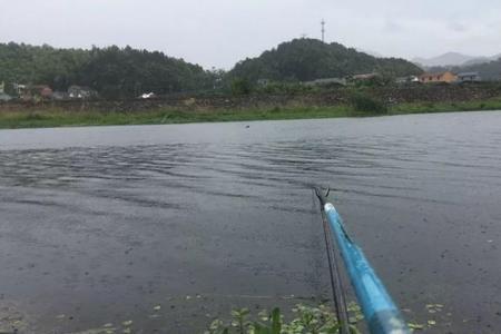 西北风3级适合钓鱼吗