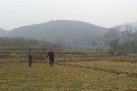 农村什么时候分地
