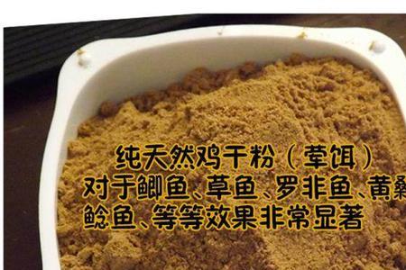 金黄色鲶鱼吃啥饵料