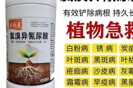 氯溴异氰尿酸能治红蜘蛛吗