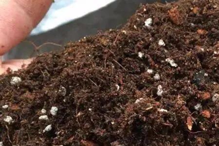花盆返碱还能用吗