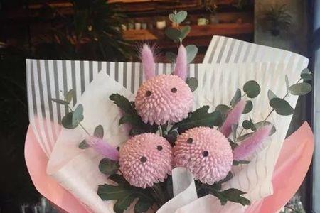 情人节可以送菊花吗