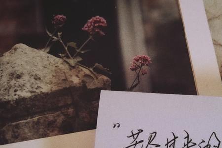 时光一年一年在流转文案