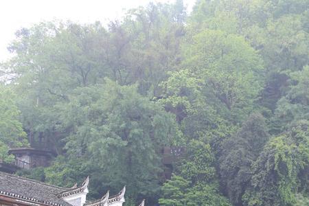 常德属于湘西吗