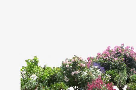 花圃与花园有什么区别