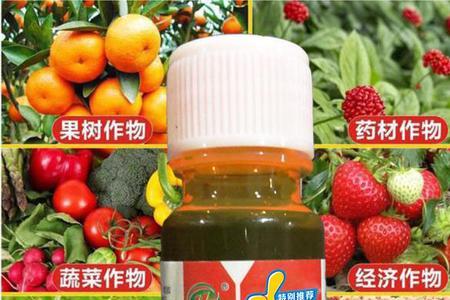 哪种赤霉酸生根好