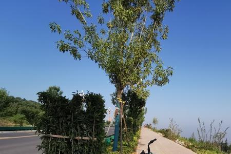 渭南郊野公园有水吗