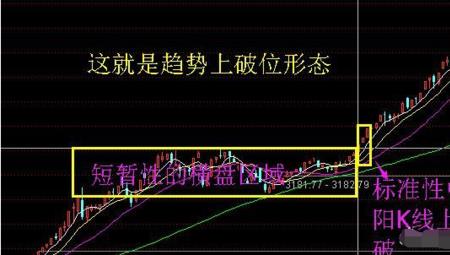 趋势什么意思