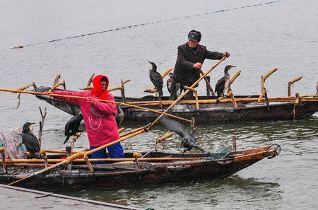里下河是什么意思