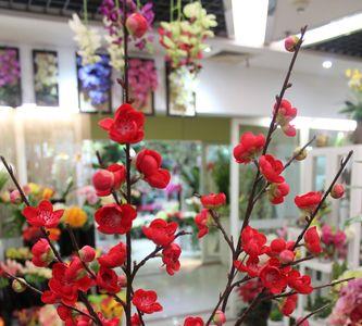义乌花卉批发市场哪里便宜